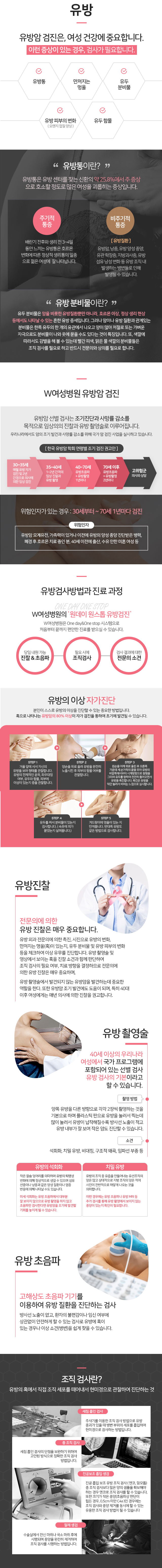 초음파 영상