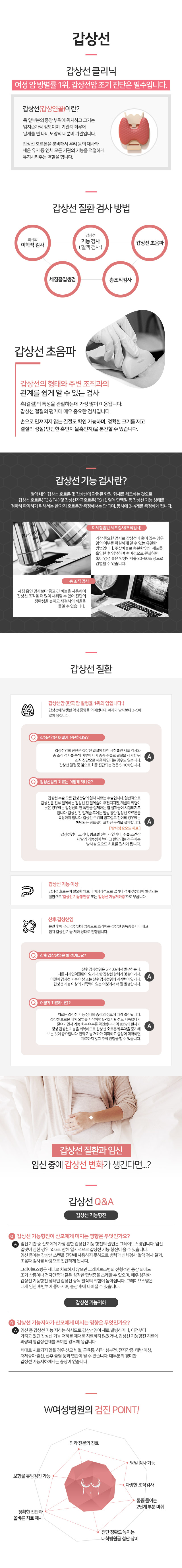 초음파 영상